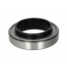 Atlaisvinimo guolio liukas 500 1210 10