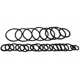 Bizon hidraulinio skirstytuvo remonto komplektas