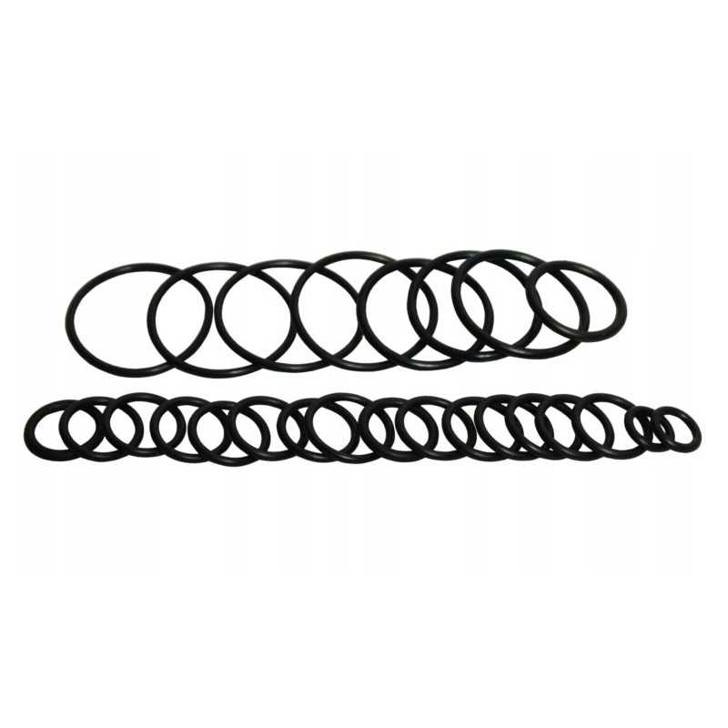 Bizon hidraulinio skirstytuvo remonto komplektas