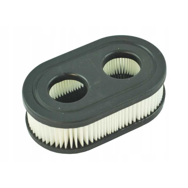 Briggs stratton ovh b s550 oro filtras