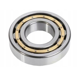 Galinės ašies rutulinis guolis New Holland Fiat CNH 201