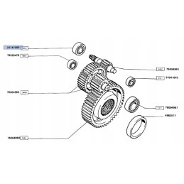 Galinės ašies rutulinis guolis New Holland Fiat CNH 201