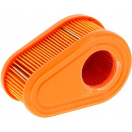 Briggs stratton dov oro filtras
