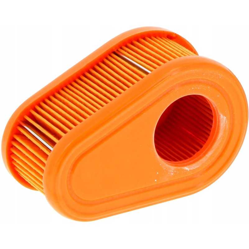 Briggs stratton dov oro filtras