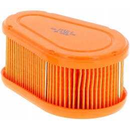 Briggs stratton dov oro filtras