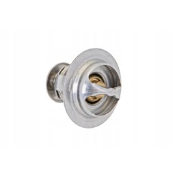 L375 06203 termostatas