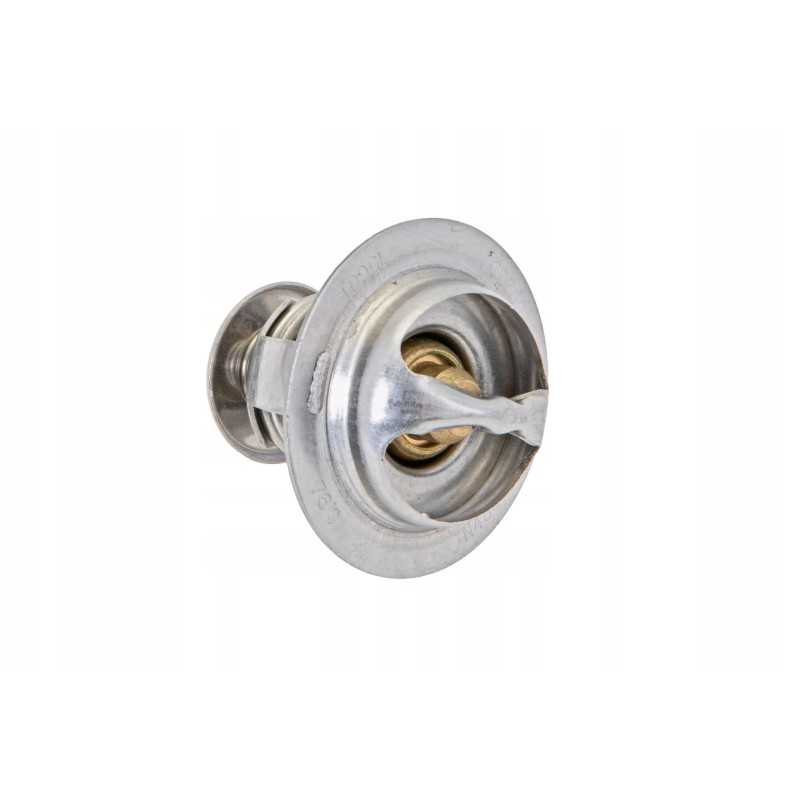 L375 06203 termostatas