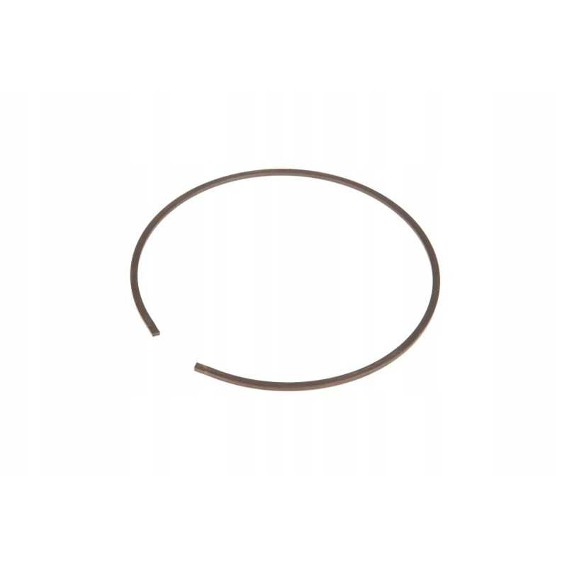 F824104360010 pavaros atraminis žiedas