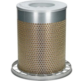 Donaldson oro filtras p781373 al78869