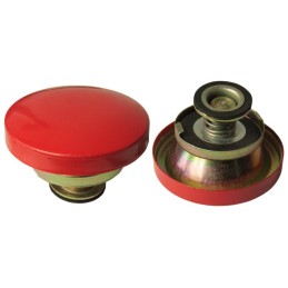 Radiatoriaus dangtelis mf 235 255 ursus 2812 3512 3514