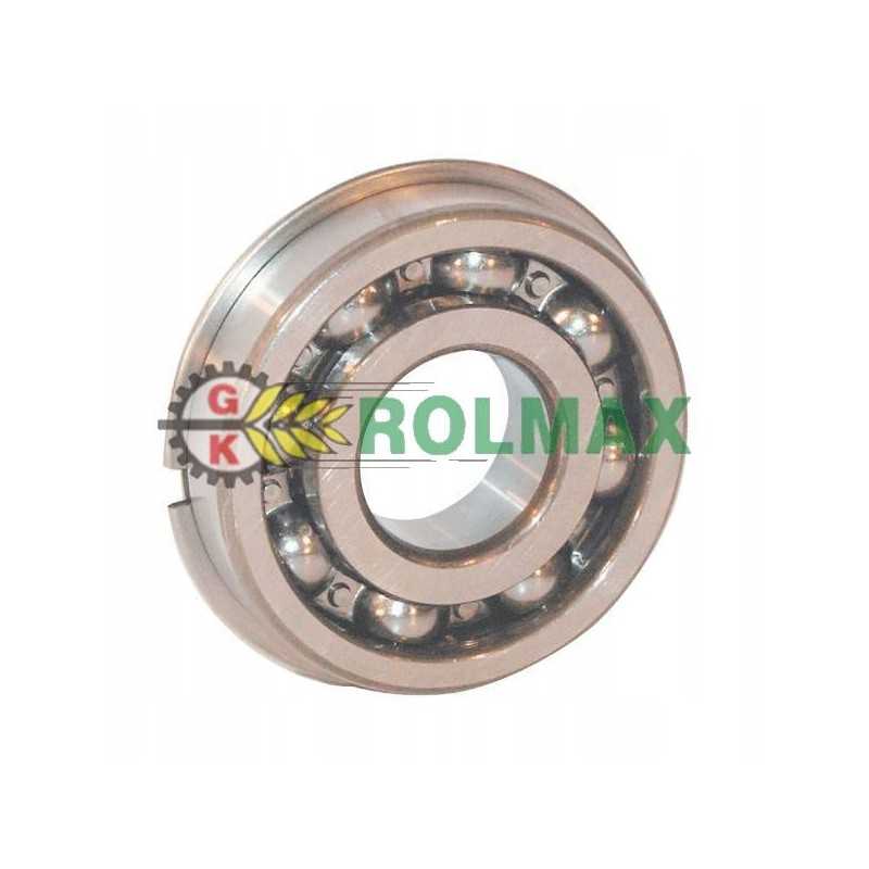 Rutulinis guolis ina fag 6209nc3