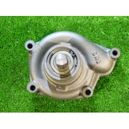 Vandens siurblys perkins 130 12 748095m91 tn