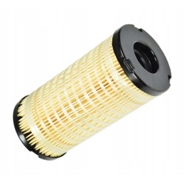 Originalus kuro filtro įdėklas 4816636 perkins