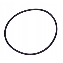 Originalus kuro filtro įdėklas 4816636 perkins