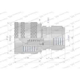 Hidraulinė greitoji jungtis, G1 2 sriegis Warynski kištukas