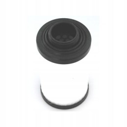 Sao54360 oro separatoriaus alyvos SF filtro keitimas