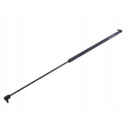 Galinio lango pavara l max 785mm 3389556m1p masė