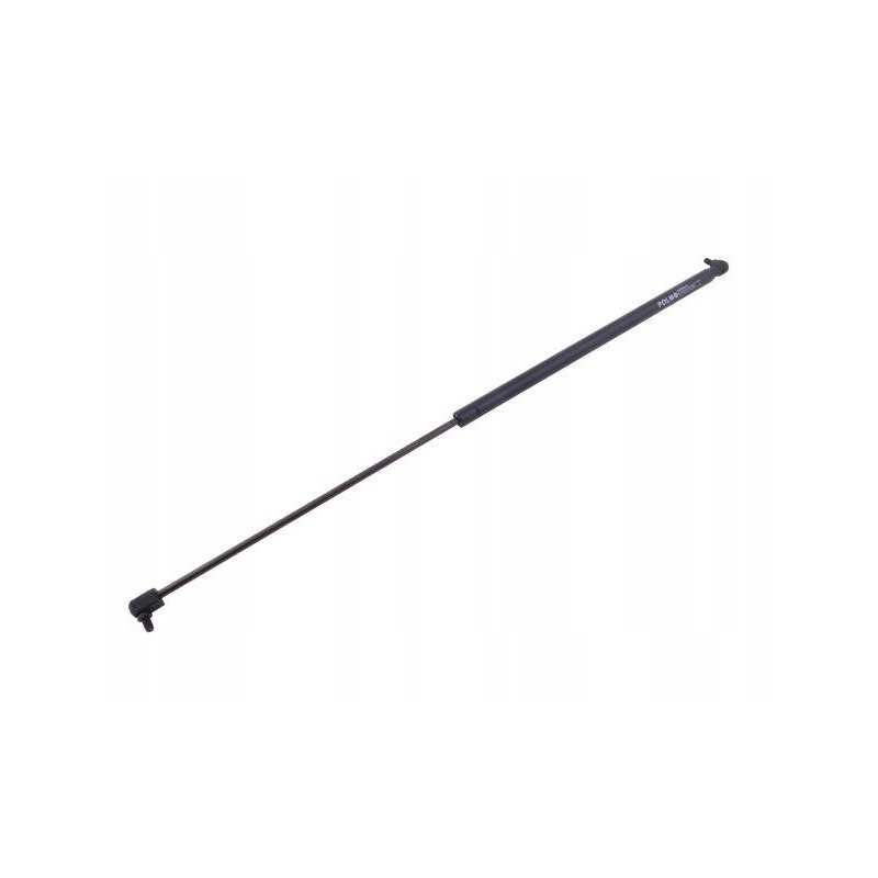 Galinio lango pavara l max 785mm 3389556m1p masė