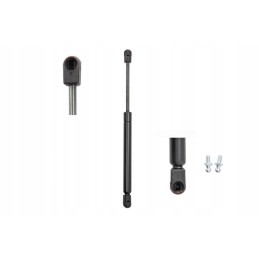 Dujinės spyruoklinės staklės fa21395 00