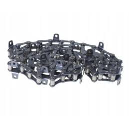 Grandininio konvejerio ekstremalaus bizono nacionalinis rekordas