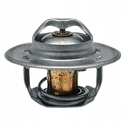Termostatas 82 c ford 54mm 74717039 granitas