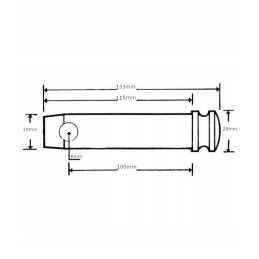 Viršutinės jungties kaištis 19x100 mm krampas