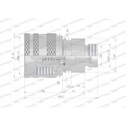 Prisukama greitoji hidraulinė jungtis, M22x1 kištukas