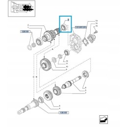 Pavarų dėžės guolis naujas holland korpusas st293 cnh