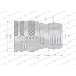 Hidraulinė greitoji jungtis, 1 gz Warynski kištukas