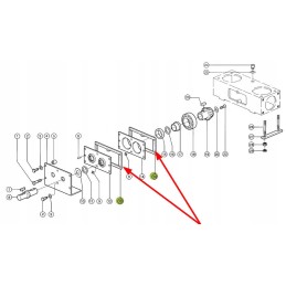 692006 1 pavaros sandariklis