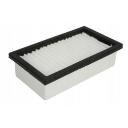 Fleetguard AF55766 oro filtras