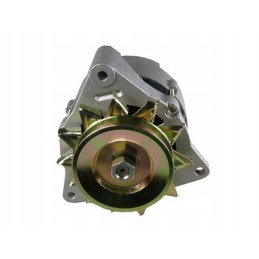 Generatorius su reguliatoriumi ir skriemuliu 59115740