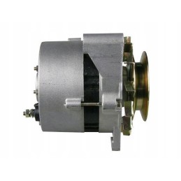 Generatorius su reguliatoriumi ir skriemuliu 59115740