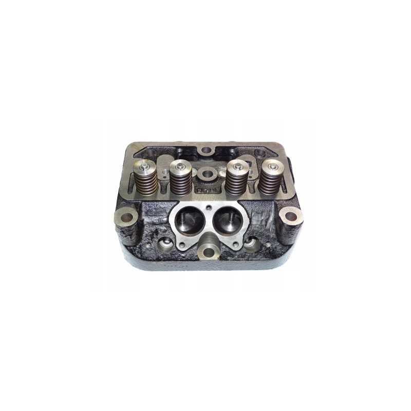 Variklio galvutės komplektas c 330 42022020