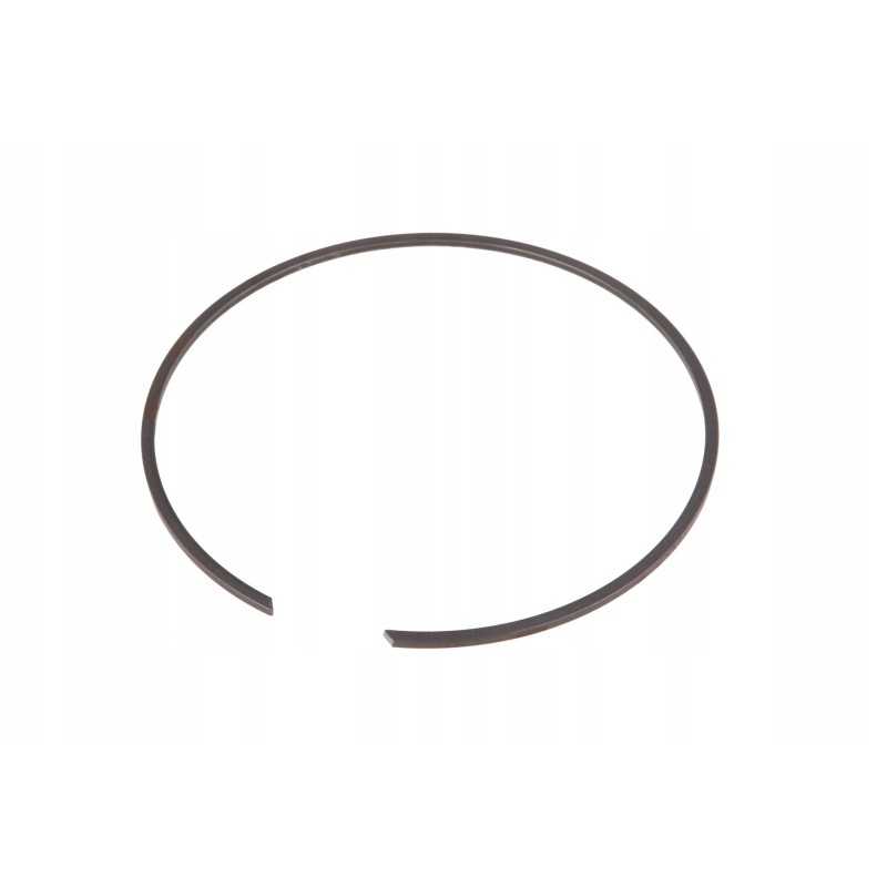 F824100100260 išsiplėtimo laikantis žiedas