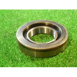 Atraminis guolis 231 509 tas pats Hurlimann Lamborghini