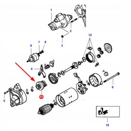 La80976730 starterio pavaros velenas