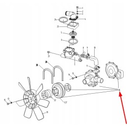 3te25 06100c vandens siurblys