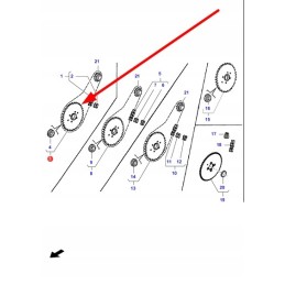 La300134602 grandinės žvaigždutė z40