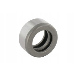 L41196gp veleno rankovė