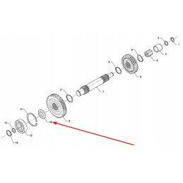 P5m37202109 pavaros tarpiklis