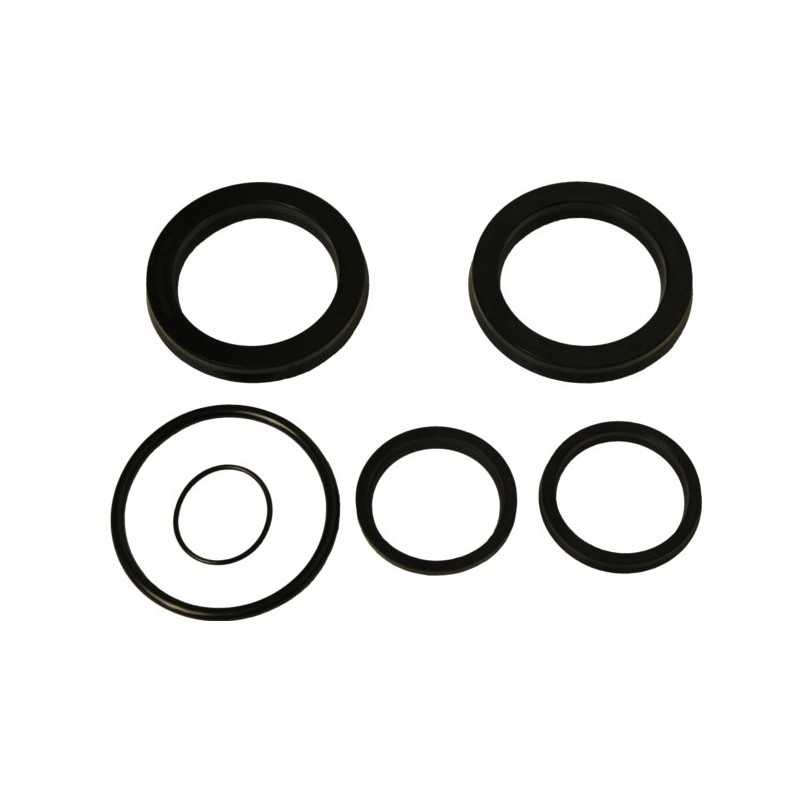 Cyclops strėlės cilindro sandariklių komplektas