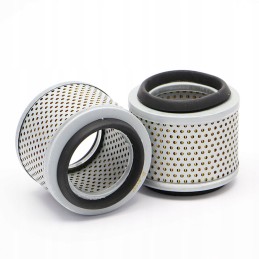 SL81047 oro filtras SF filtras pakeičia SA12173