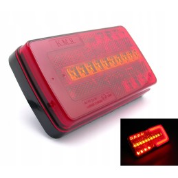 LED kombinuota lempa, dinamiška neoninė kryptis