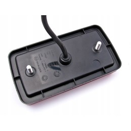 LED kombinuota lempa, dinamiška neoninė kryptis