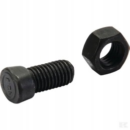 Ovalios galvutės varžtas, 12 9 klasė, m12x30 mm, 5 vnt