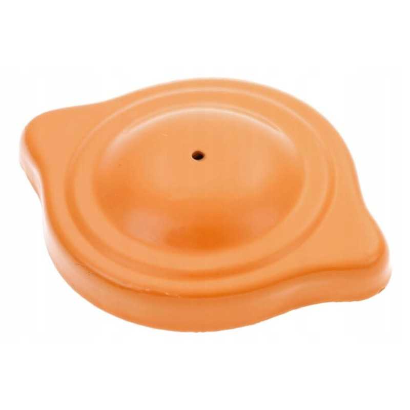 5118532gp degalų bako dangtelis