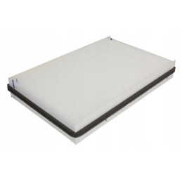 Fleetguard AF55753 salono filtras