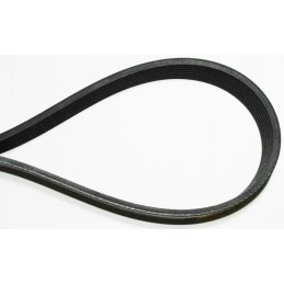 Vartų trapecinis diržas 1485350