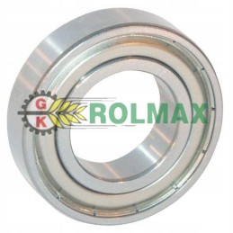 Rutulinis guolis ina fag 6000zz